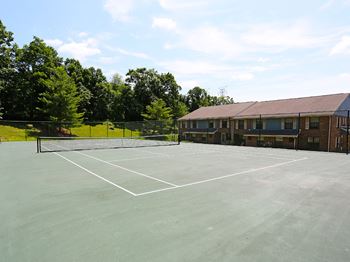 Beautiful tennis court 